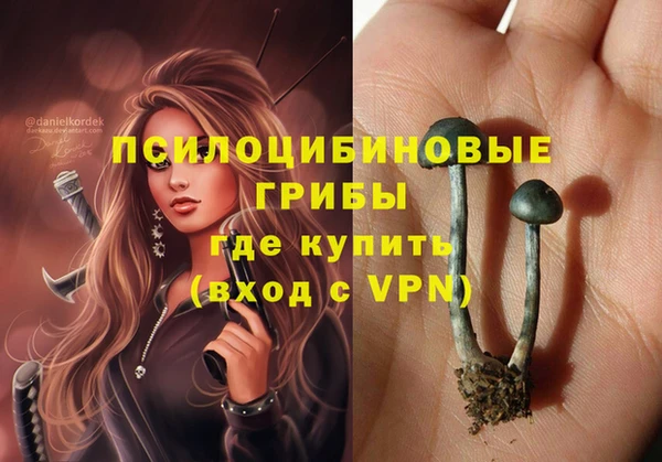соль курить ск Алексеевка