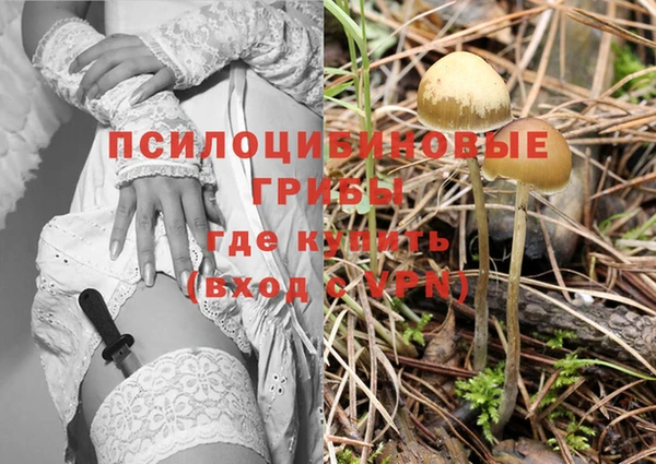 соль курить ск Алексеевка